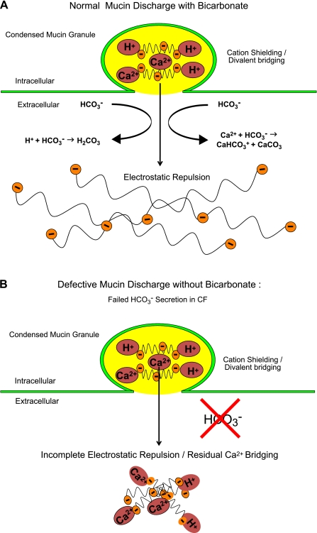 Fig. 11.