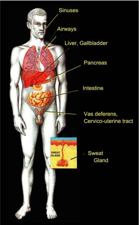 Fig. 2.