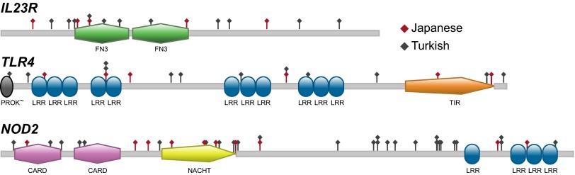 Fig. 1.