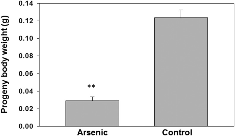 FIG. 5.