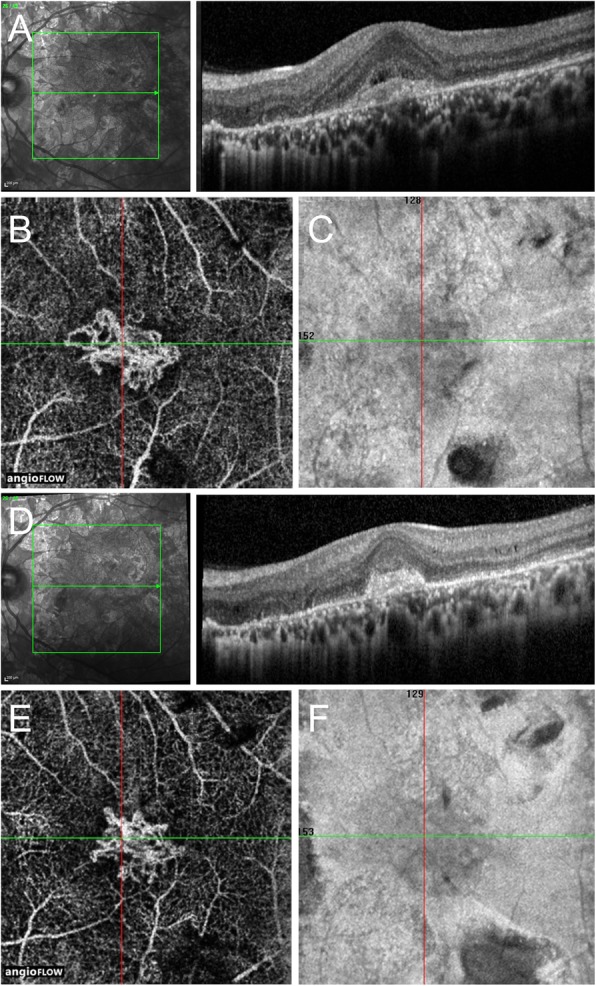 Fig. 3