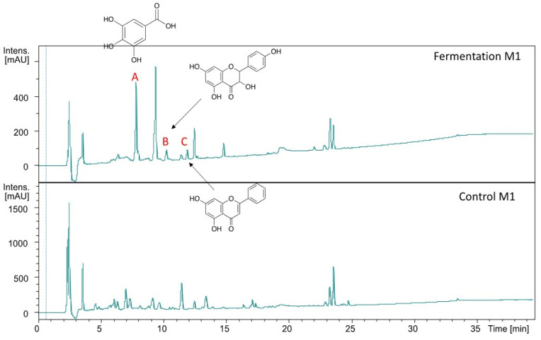 Figure 5