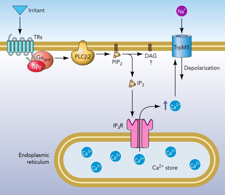 FIGURE 1.