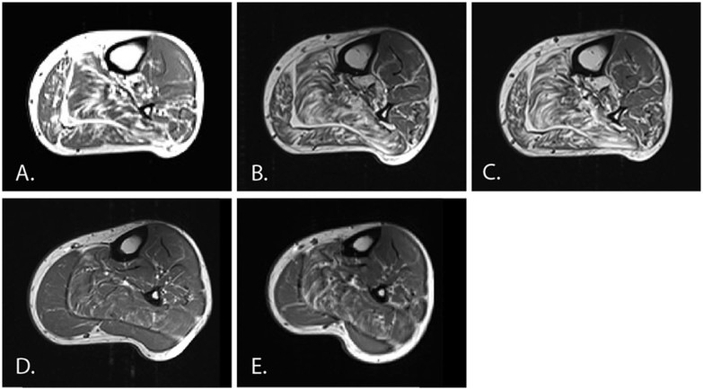 Fig. 4