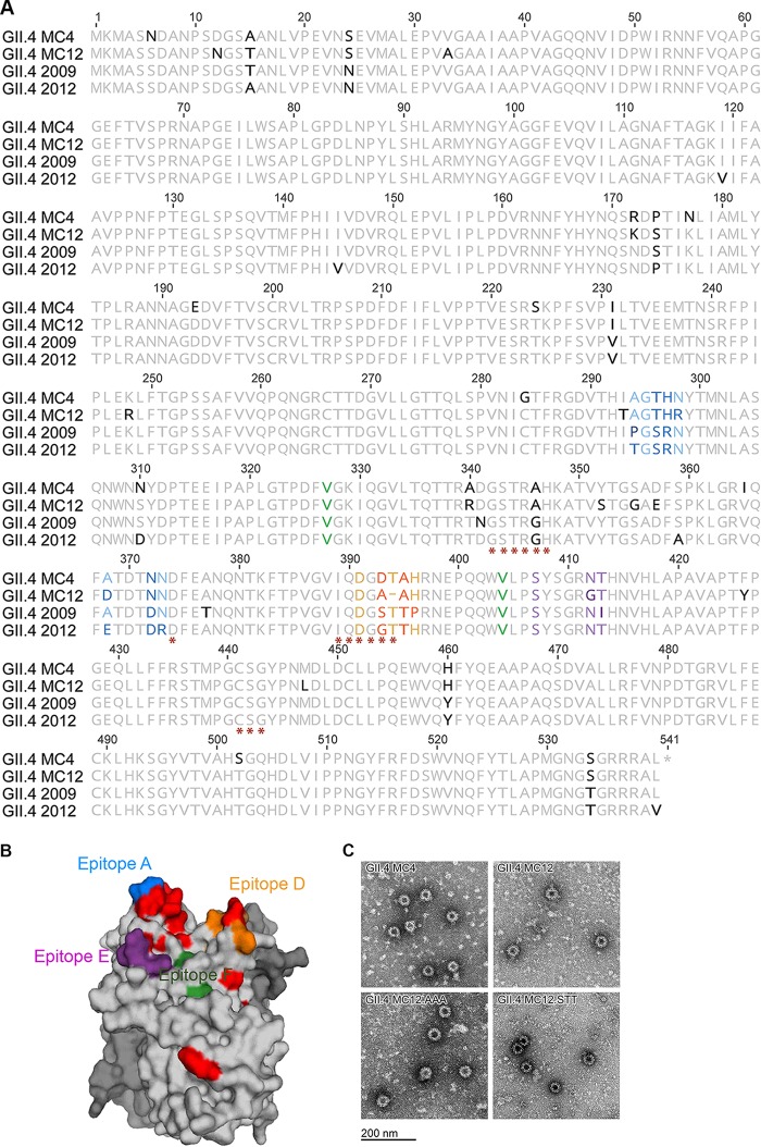 FIG 2