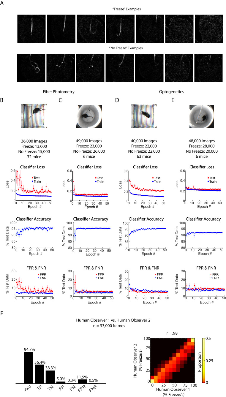 Figure 1—figure supplement 1.