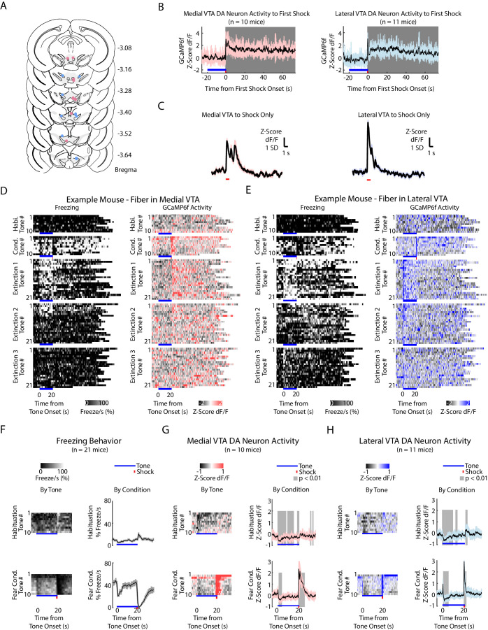 Figure 3—figure supplement 1.