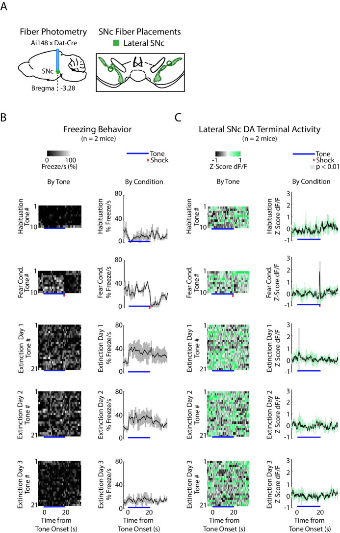 Figure 3—figure supplement 3.