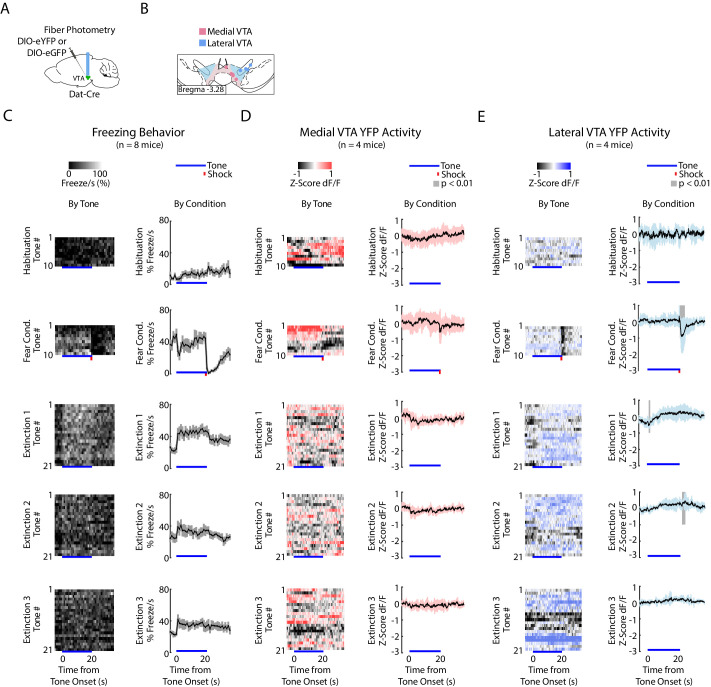 Figure 3—figure supplement 4.