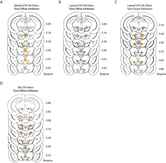 Figure 5—figure supplement 2.