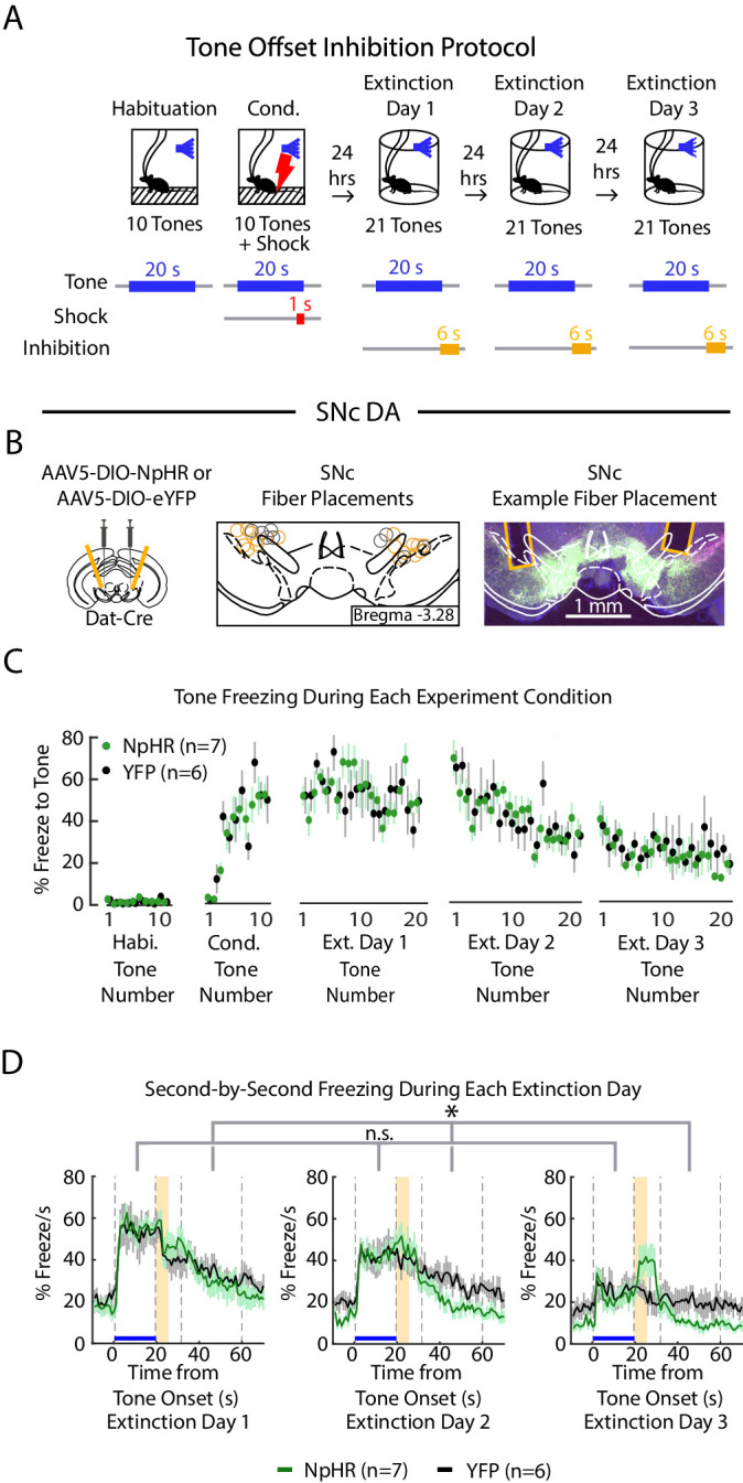 Figure 5—figure supplement 3.