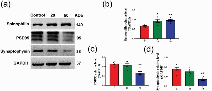 Figure 7.