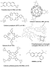 Fig. 10