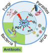 Fig. 9