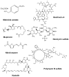 Fig. 7