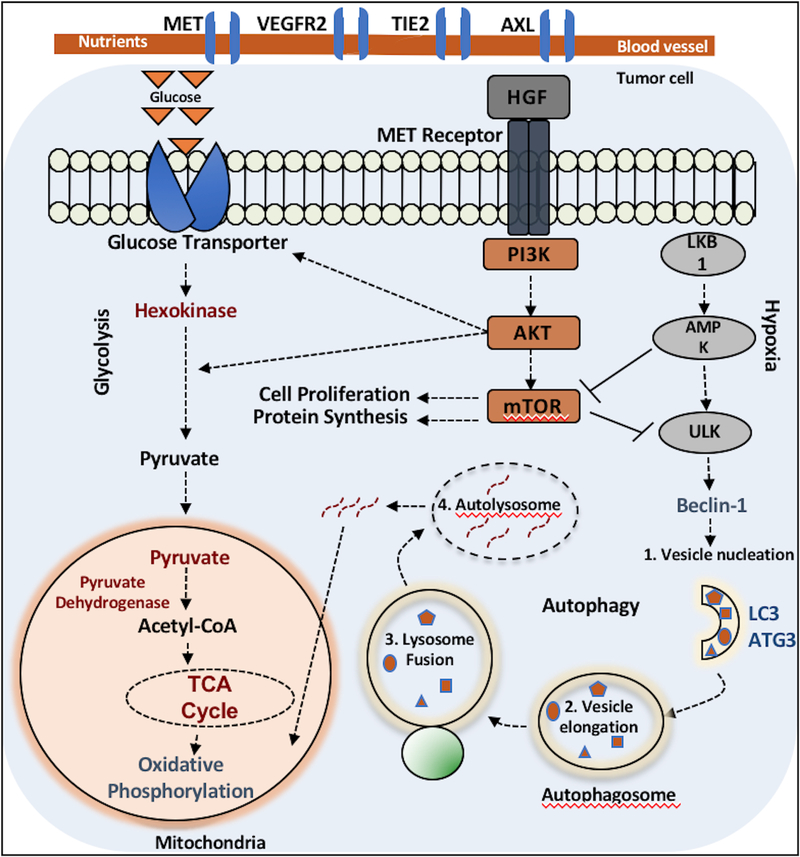 Figure 6: