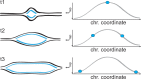 Figure 4—figure supplement 2.