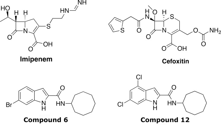 FIG 1