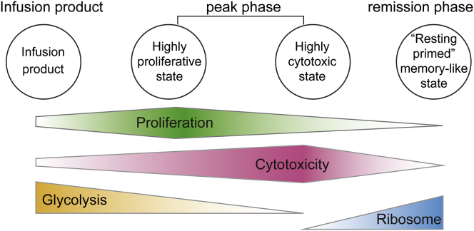 Figure 7