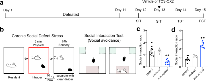 Supplementary Fig. 3