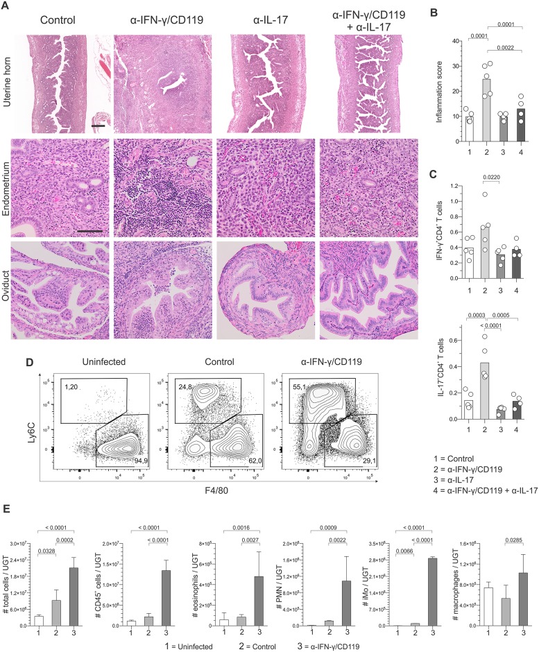 Fig 5