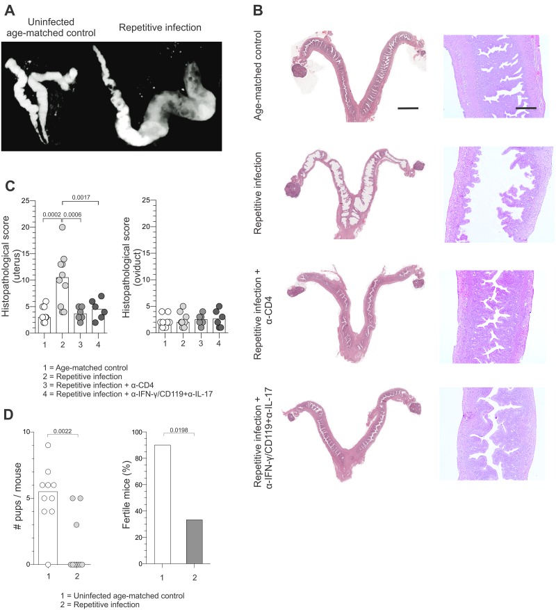 Fig 6