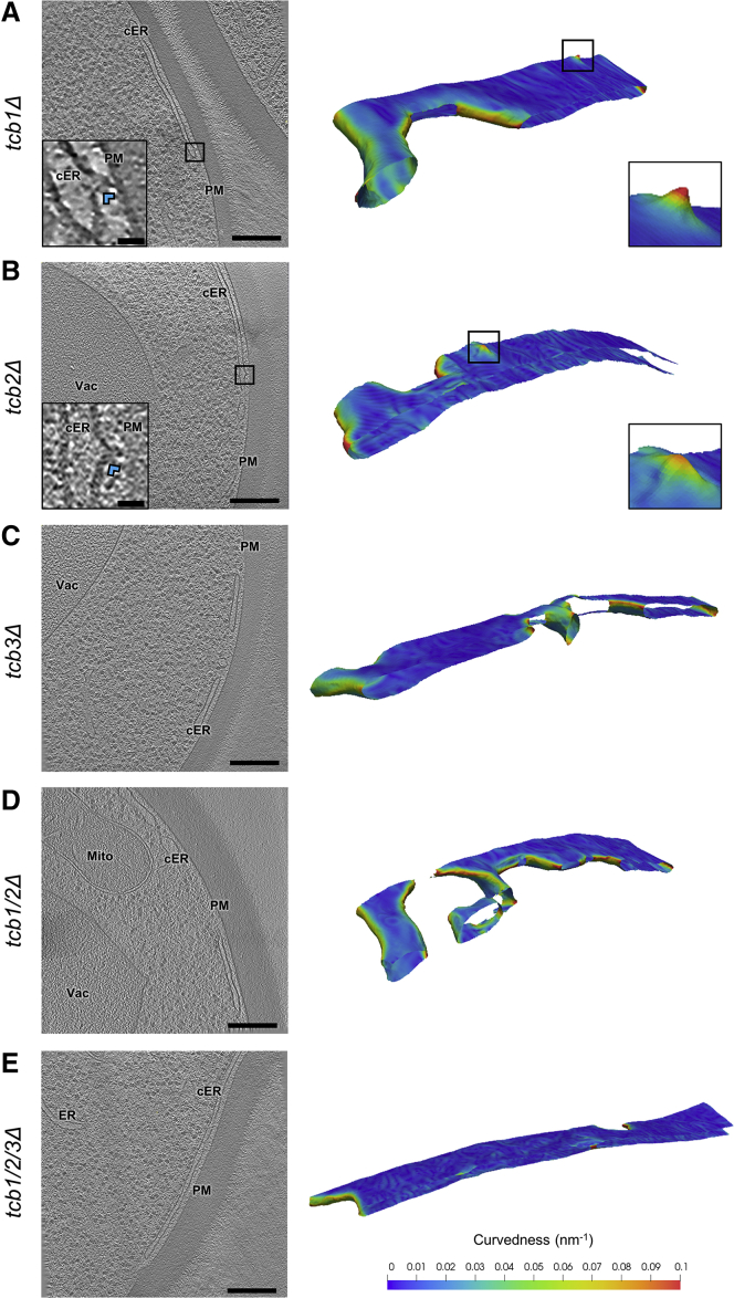 Figure 4