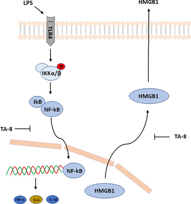 Figure 7