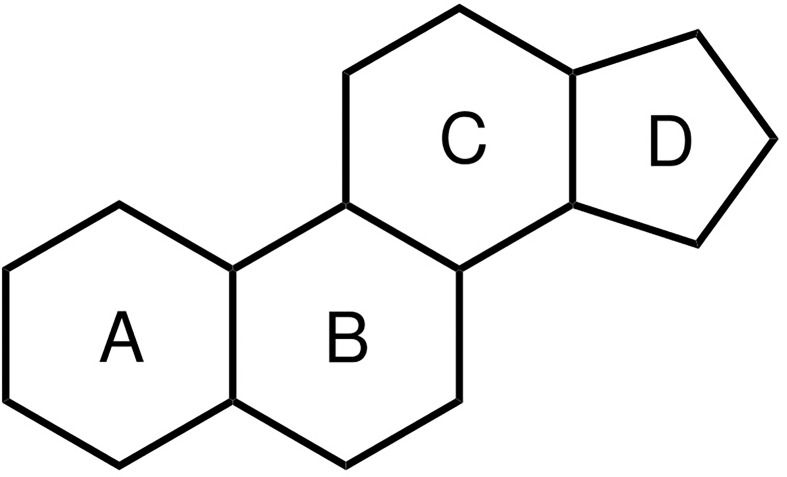 Figure 1