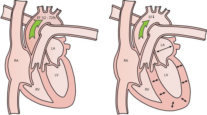 Figure 6