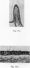 386-2