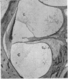 384-2