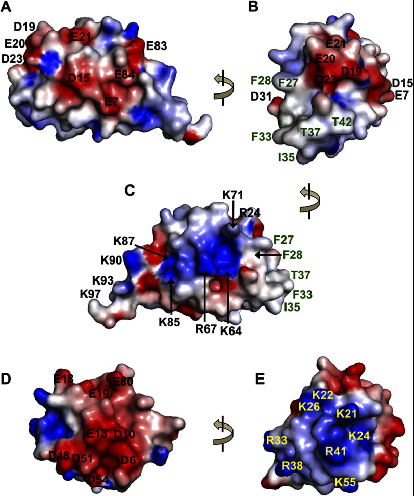 FIGURE 4.