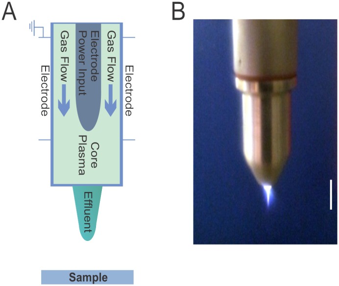 Fig 1