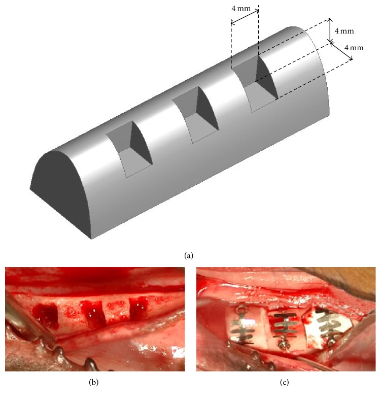 Figure 2