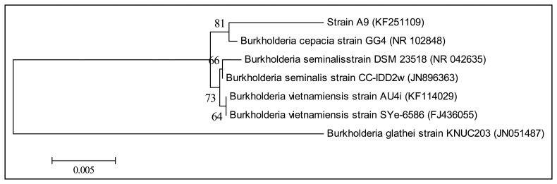 Figure 2.