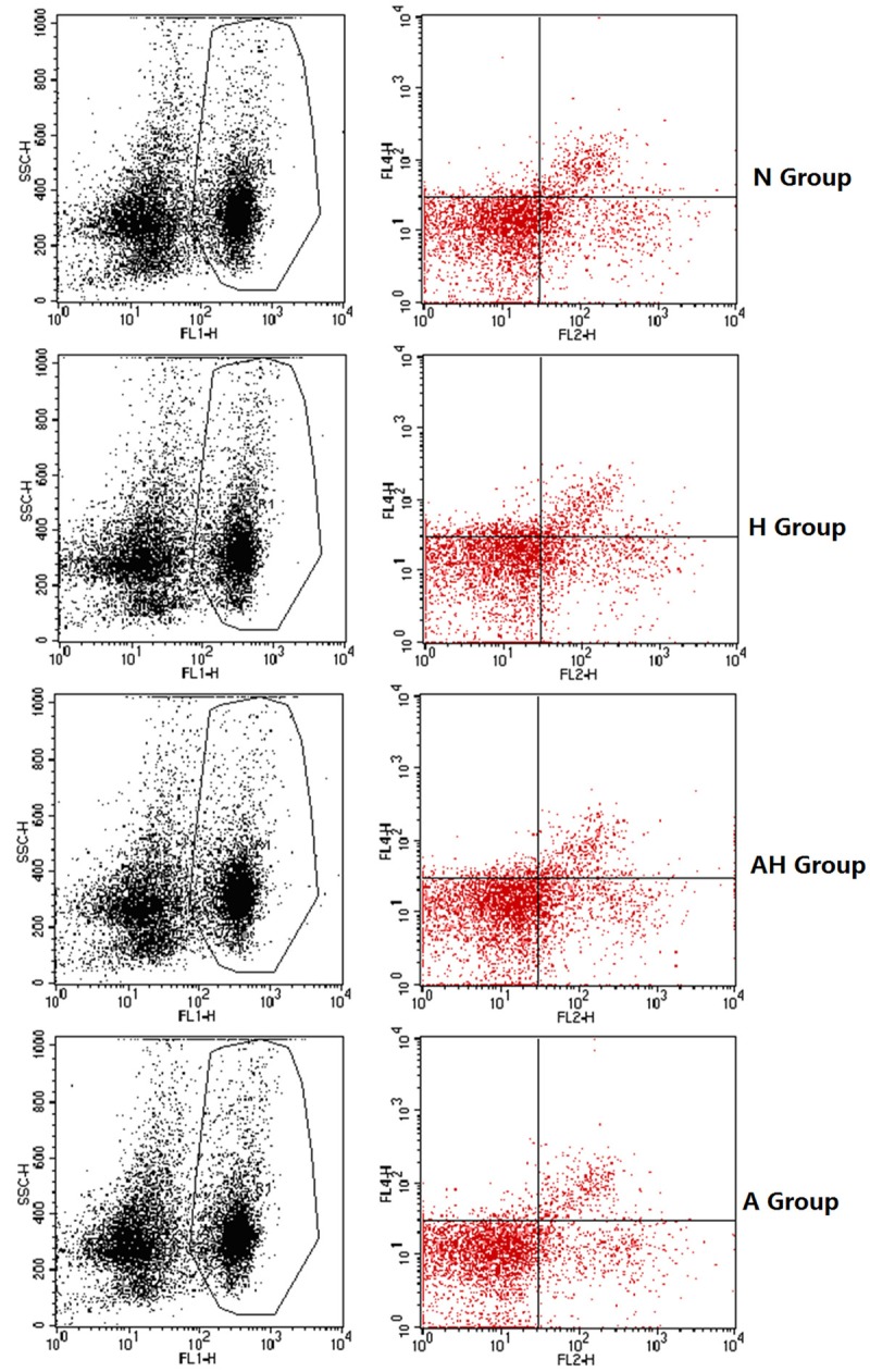 Figure 14