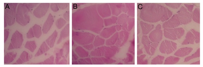 Fig.7