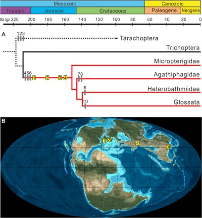 Fig. 4