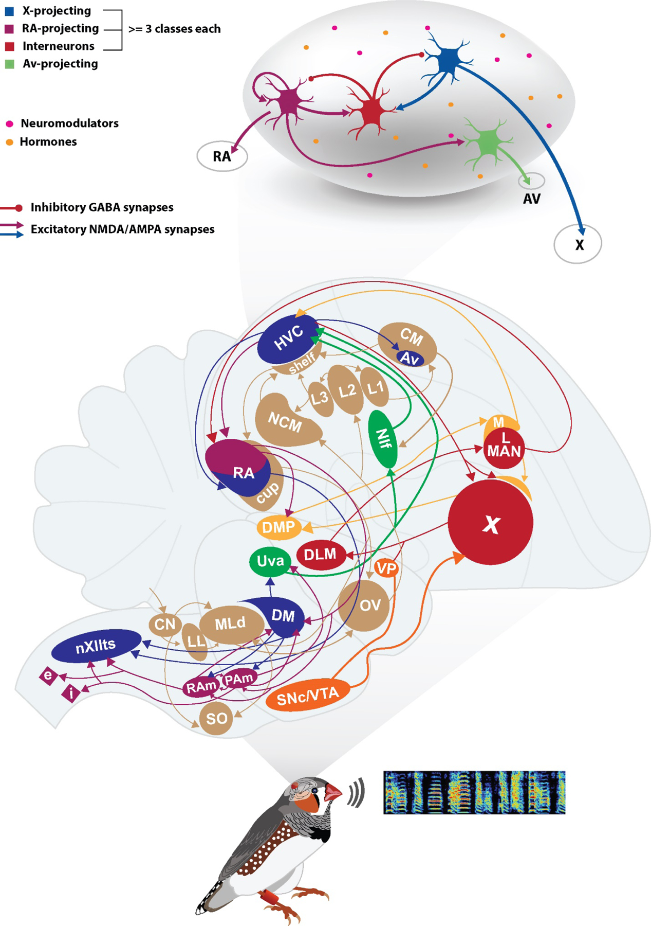 Figure 2: