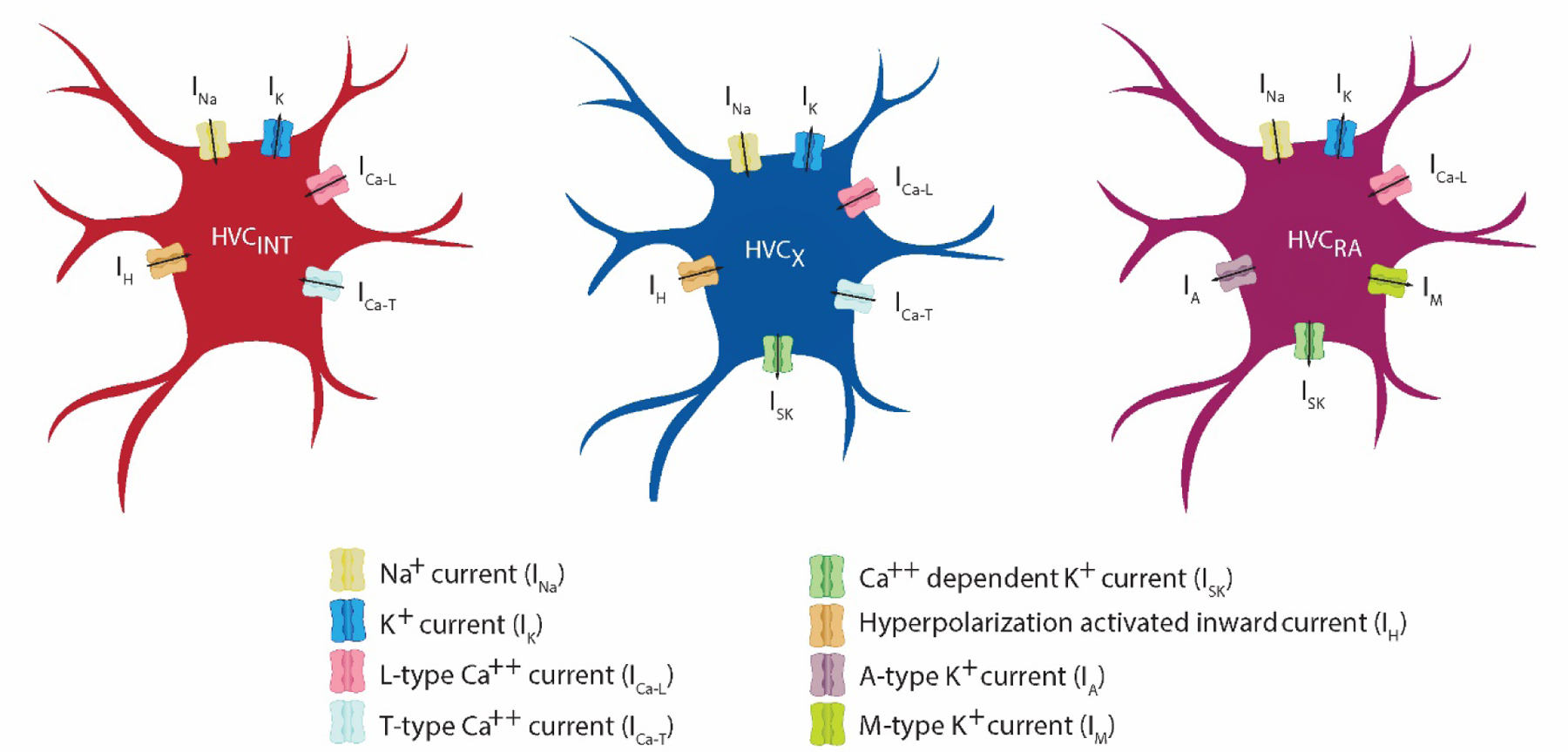 Figure 3: