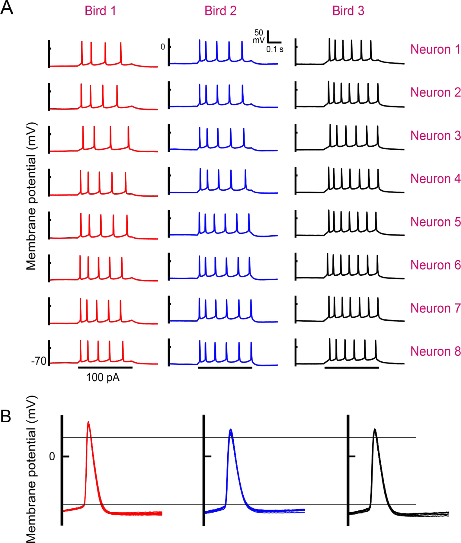 Figure 4: