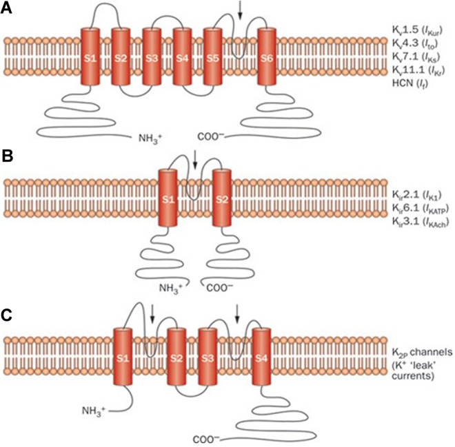 Figure 2.