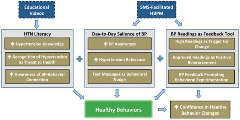 Figure 1: