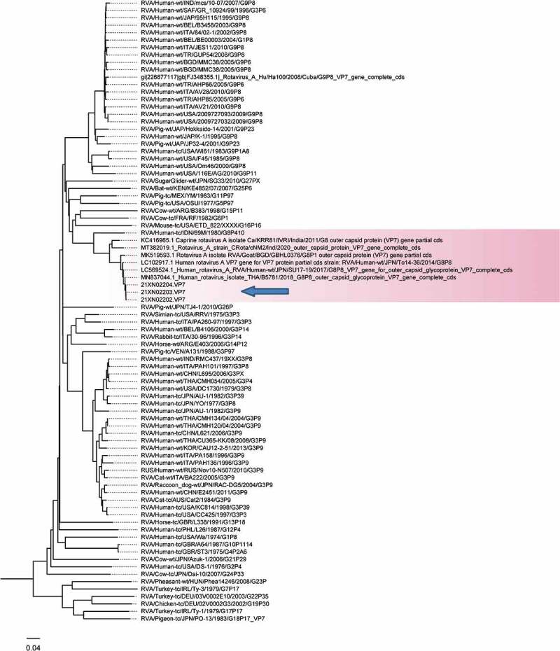 Figure 2.