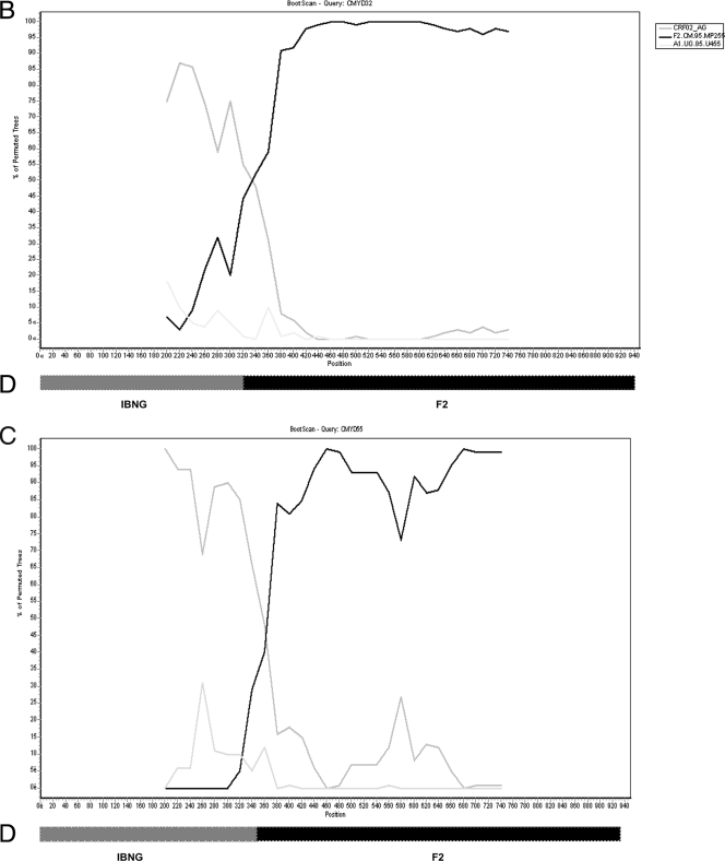 FIG. 1.