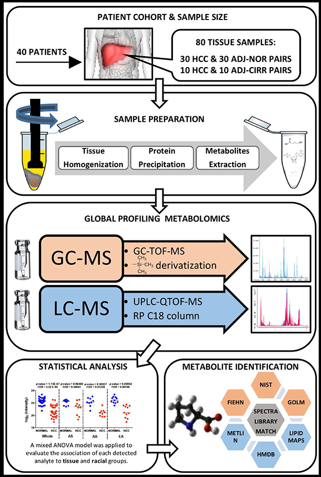 graphic file with name nihms-1035714-f0001.jpg