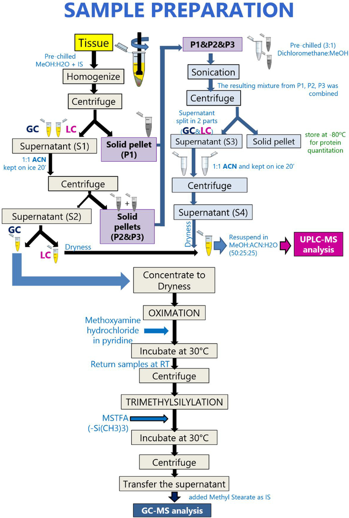 Fig 1.