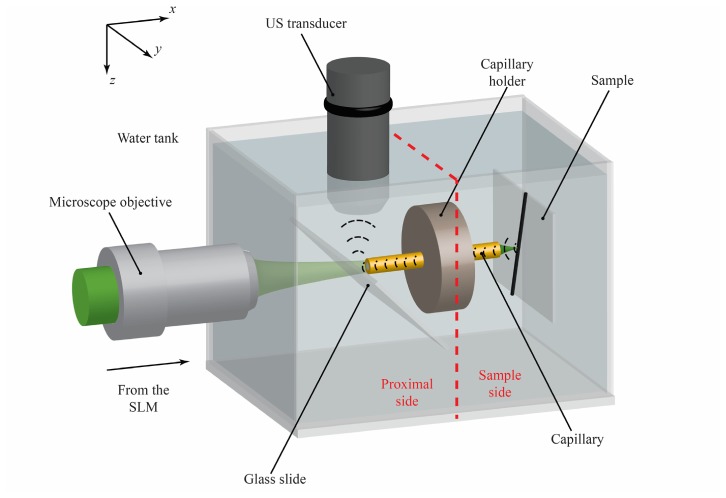 Fig. 3