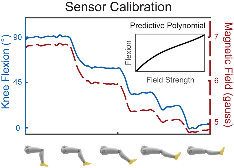 Figure 1: